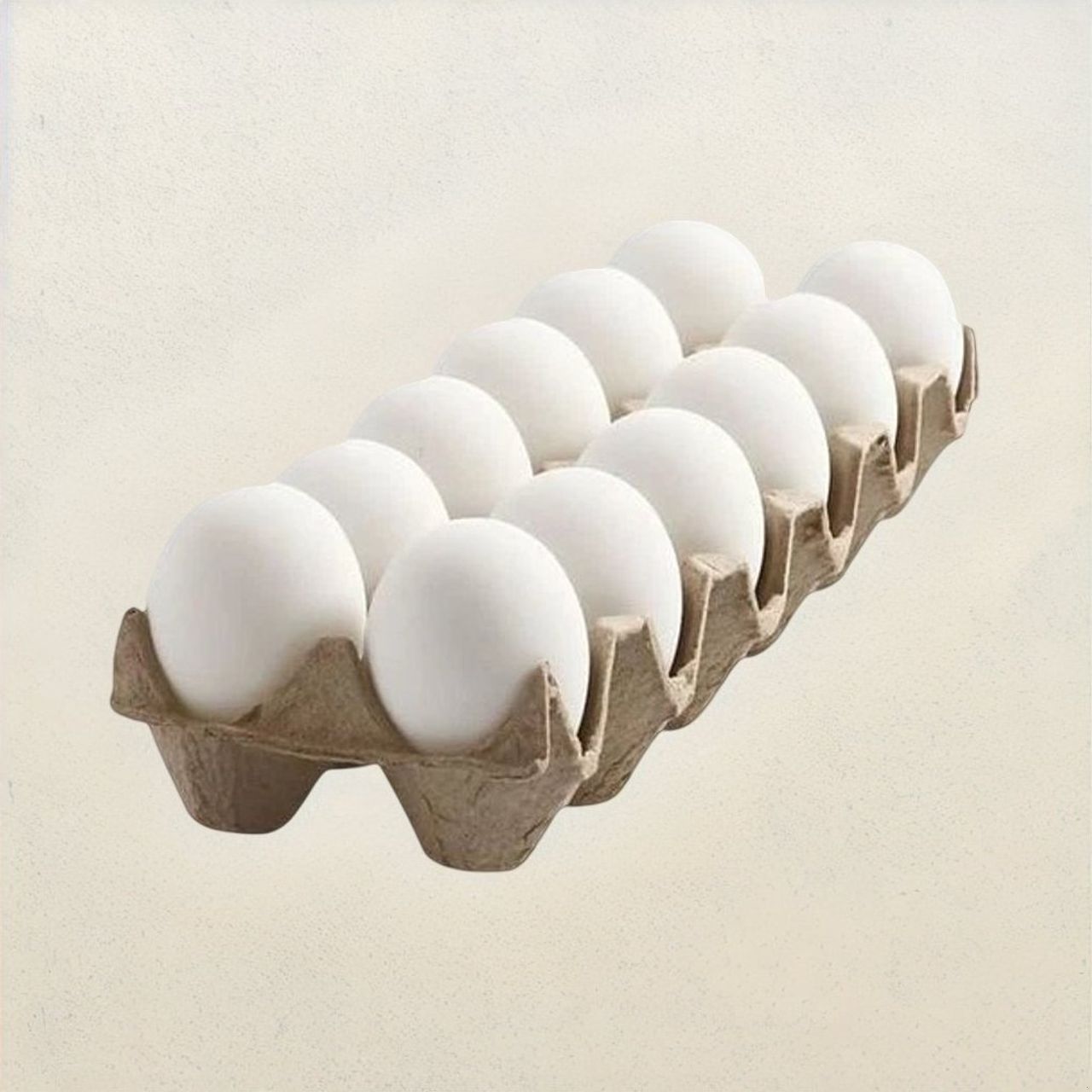 Dairy